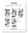Bass Guitar Scales, Chords &amp; Arpeggios PDF Download Book