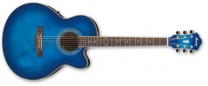 Electro-Acoustic Guitar