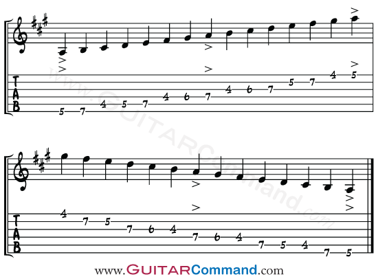 Guitar Scale Finger Exercise 1
