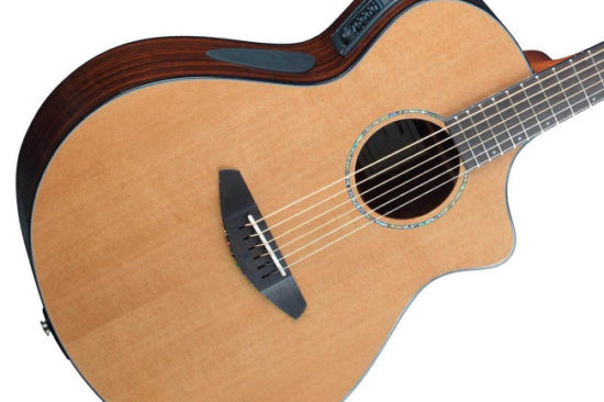 Breedlove Solo Concert Acoustic Guitar