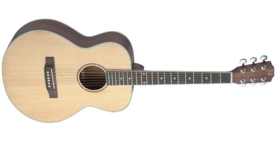 James Neligan ASY-A MINI ASYLA Series Auditorium Acoustic Travel Guitar