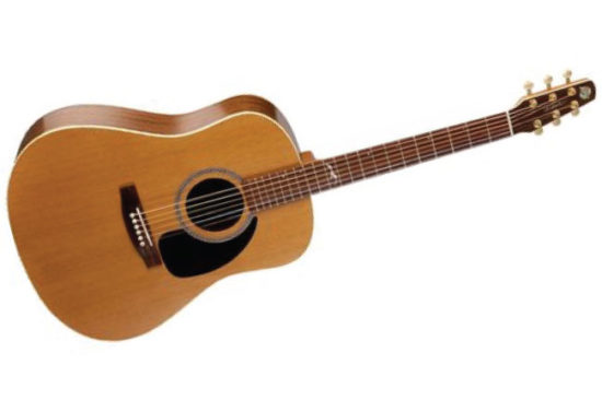 Seagull Artist Mosaic Acoustic Guitar