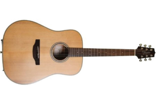 Takamine GD20 Dreadnought Acoustic Guitar