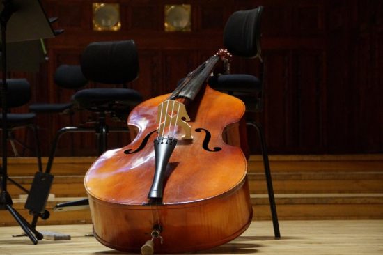 double bass