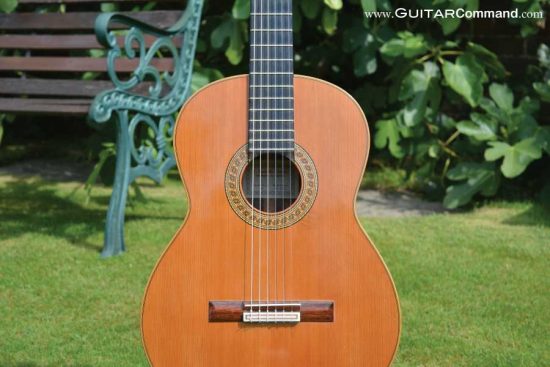 Spanish guitar in garden