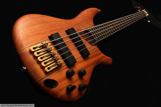 Five string bass guitar
